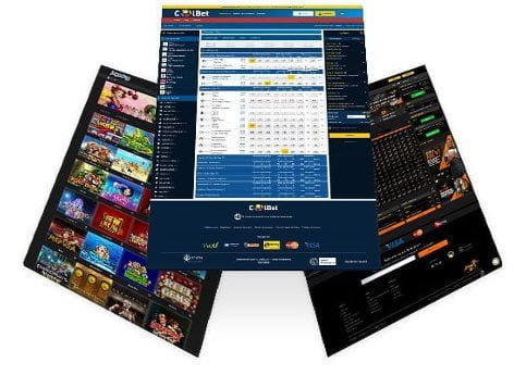 Provedor de software de apostas esportivas - White label sports betting  software and casino with bitcoin Online and Retail